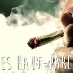 LES HAUT-PARLEURS parlent sans tabou des jeunes et de la drogue – 1er MEDIA 100% VIDÉOS D’UNE GENERATION DE JEUNES REPORTERS PARTOUT DANS LE MONDE